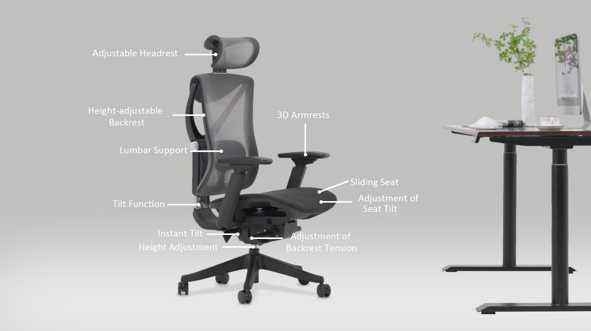 Ergonomic Office Chair C7